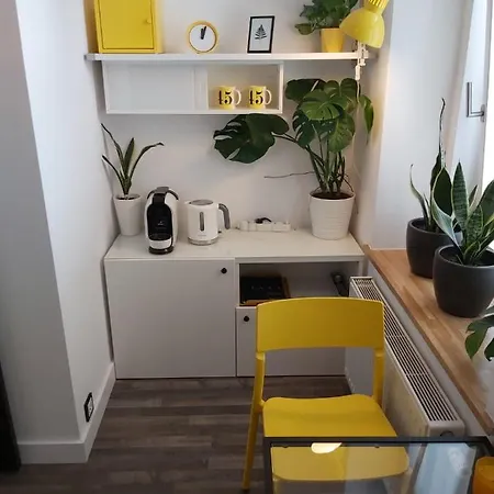 Apartament Na Wyspie Opole Zewnętrze zdjęcie